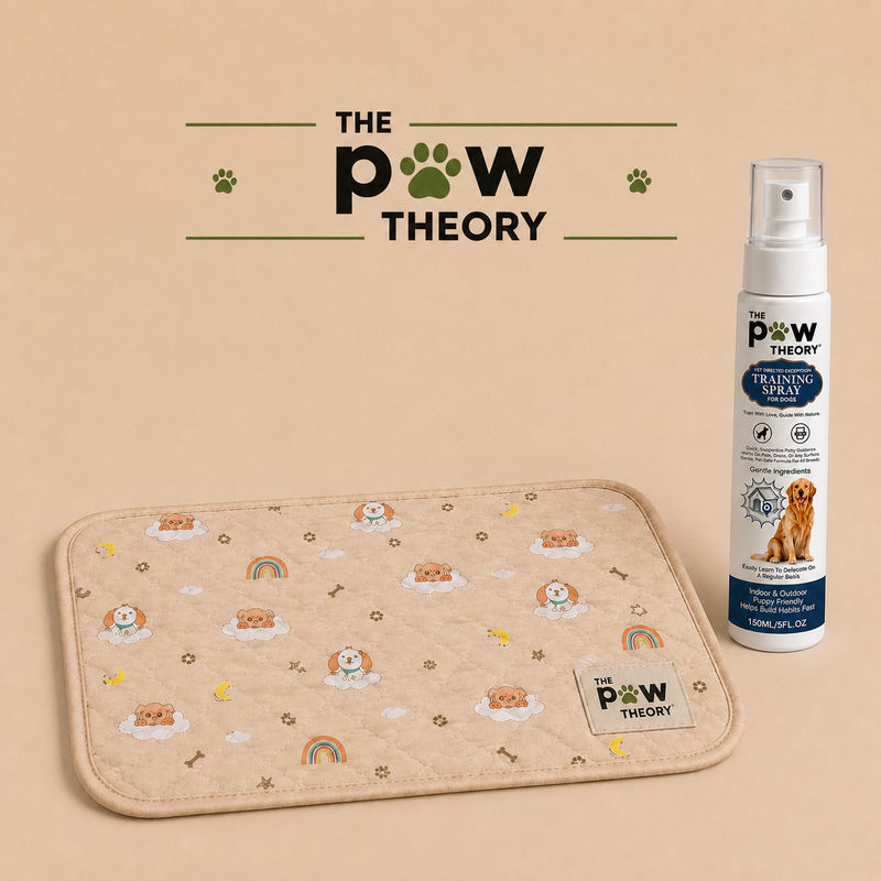 The Paw Theory Potty Training Solution-18