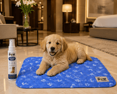 A reusable potty pad + training spray designed to help your puppy learn where to go. - The Paw Theory