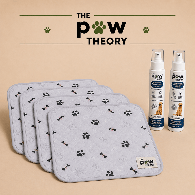 A reusable potty pad + training spray designed to help your puppy learn where to go. - The Paw Theory