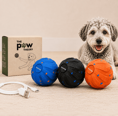 Self-Moving Interactive Pet Ball - The Paw Theory