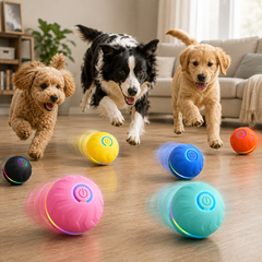 Smart Motion Pet Bounce Ball - The Paw Theory